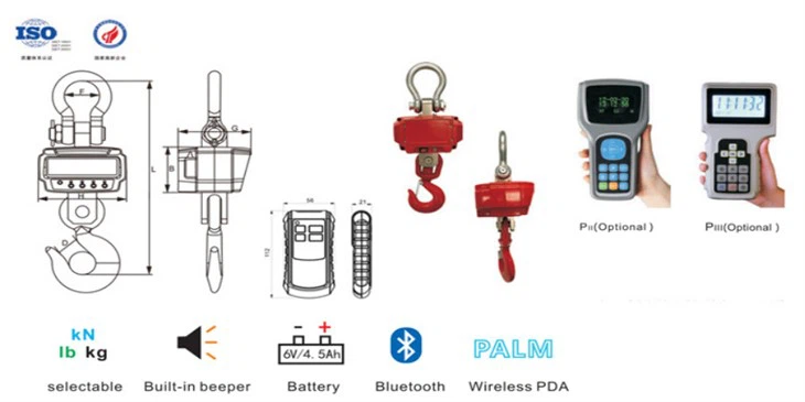 Customized Digital Crane Scale Wireless 1-15 T TCS-03